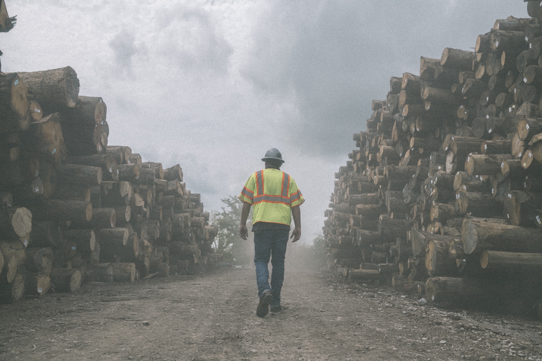 Wolverine field lifestyle image